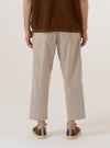 A model wears the Brown Kennedy Stripe Hi Water Trouser, shown from a rear three-quarter angle against a plain white background. The trousers feature a slim, cropped fit and a distinctive vertical stripe pattern in shades of brown. The design includes a drawstring waist and visible rear pocket detailing.