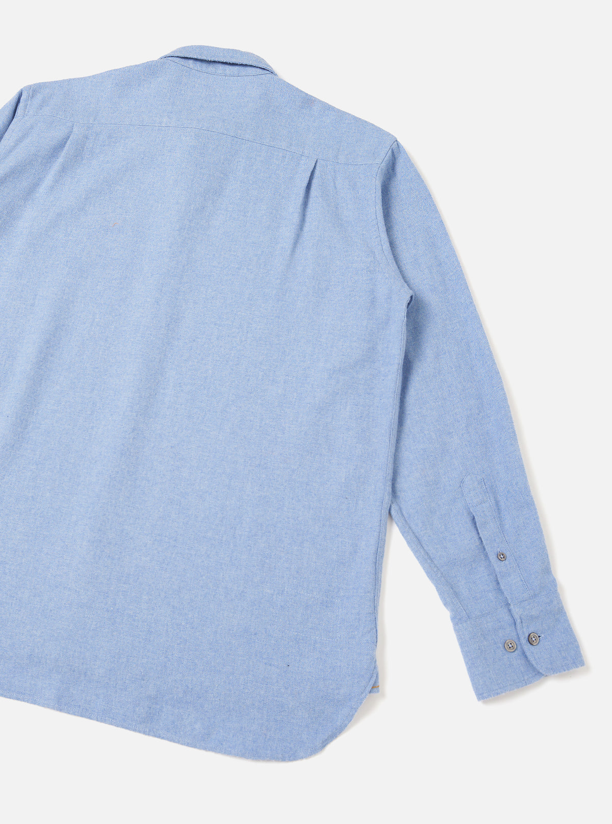 Back product view of the Sky Blue Monty Cotton Tencel Standard Shirt on a plain white studio background, showing the shoulder seam construction, rear yoke, and clean straight hem.