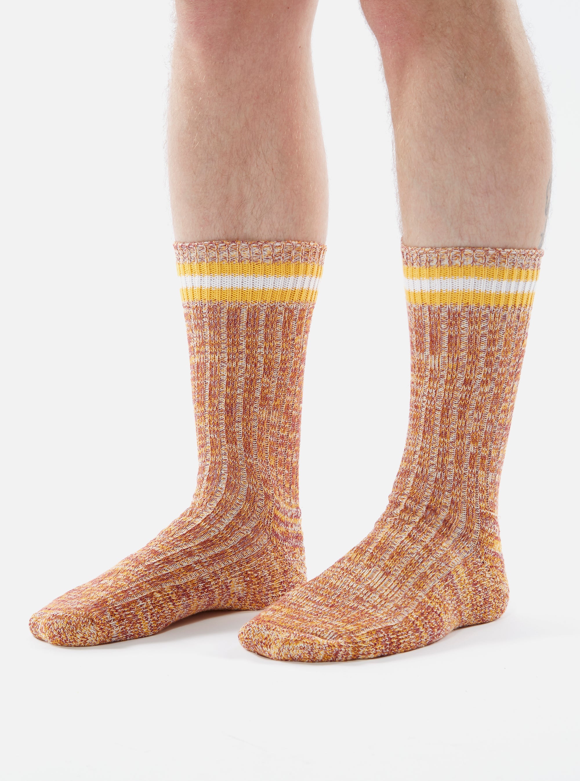 Close-up of a model wearing Yellow Cotton Everyday Stripe Sock on a white background. The socks are orange with yellow and white stripes at the top.